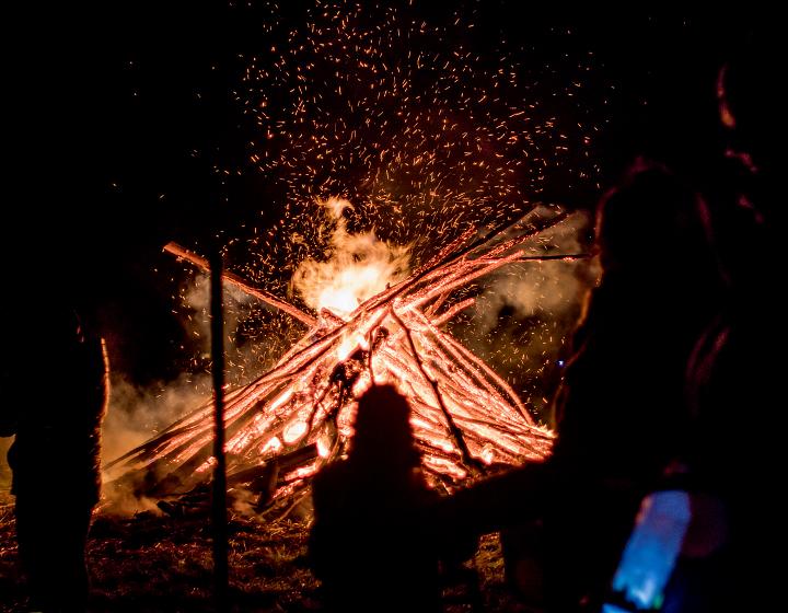 Bild: 20231111-191859.jpg